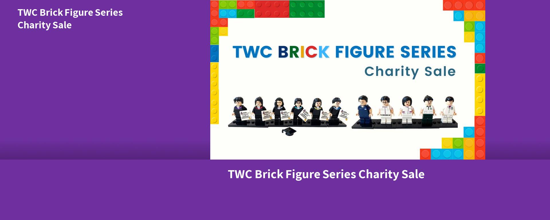 TWC Brick Figure Series Charity Sale