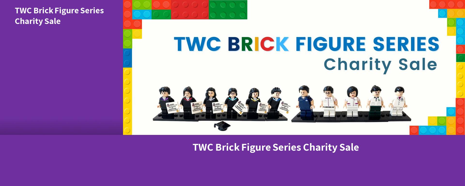 TWC Brick Figure Series Charity Sale