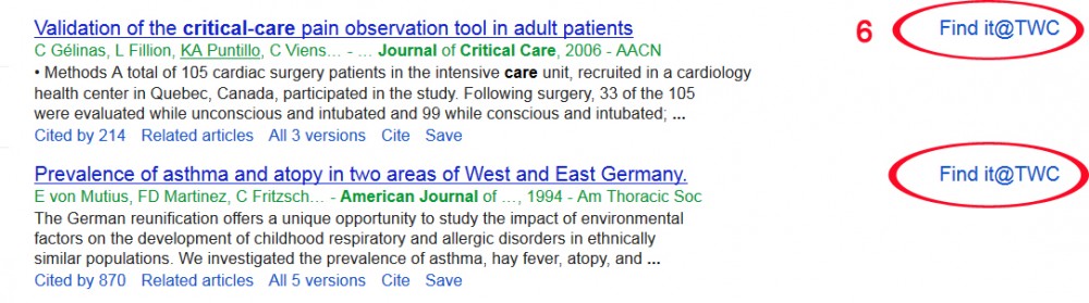 GoogleScholarResult