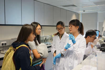 Tung Wah College introduces its programmes to the public on Information Day