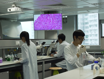Bachelor of Medical Science (Honours)
